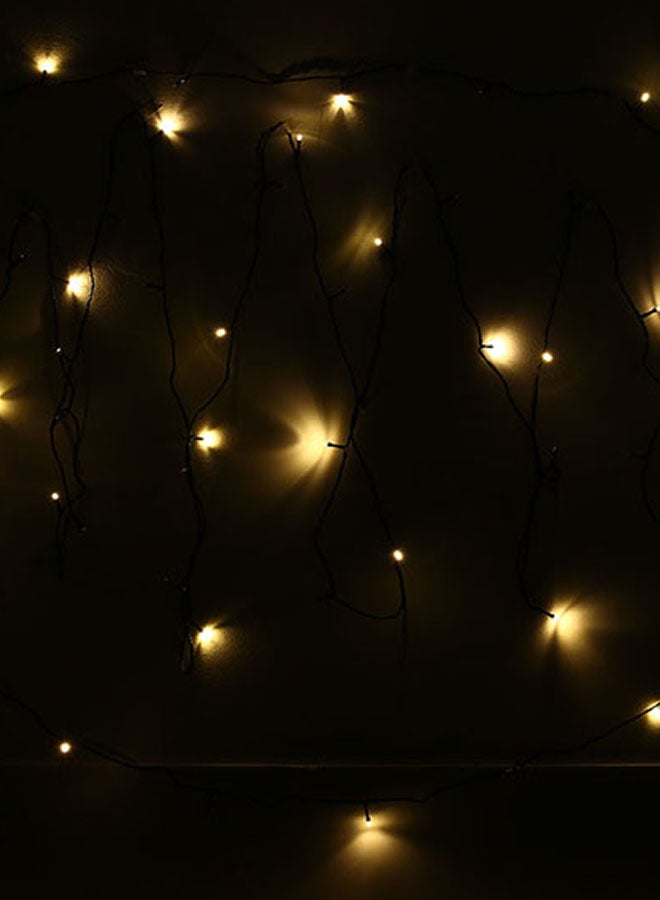 Loquat Water Resistance Low Voltage String Lights Black 50meter - Image 2