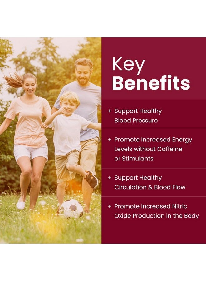 Rooted Active's PowerBeets - Beet Root Powder, Supports Nitric Oxide Production, Blood Pressure, Heart Health, Contains Non-GMO Beetroot Powder, Grape Seed Extract, BCAA, L-Arginine, L-Carnitine (250 Grams) - Image 3