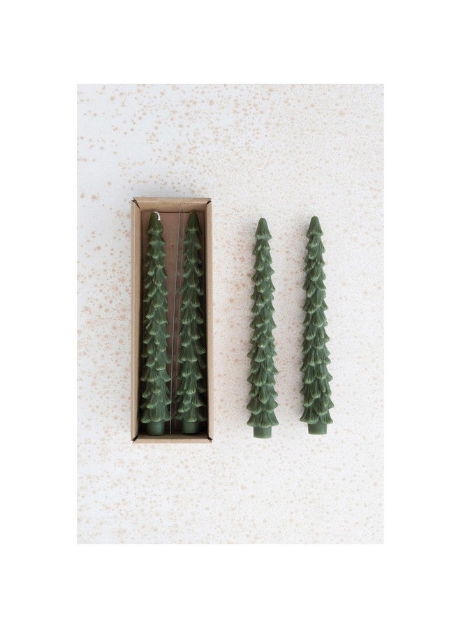 Creative Co-op شموع عمودية على شكل شجرة بدون رائحة من كرييتيف كوبر، دائمة الخضرة، مجموعة مغلّفة من 2 - Image 2
