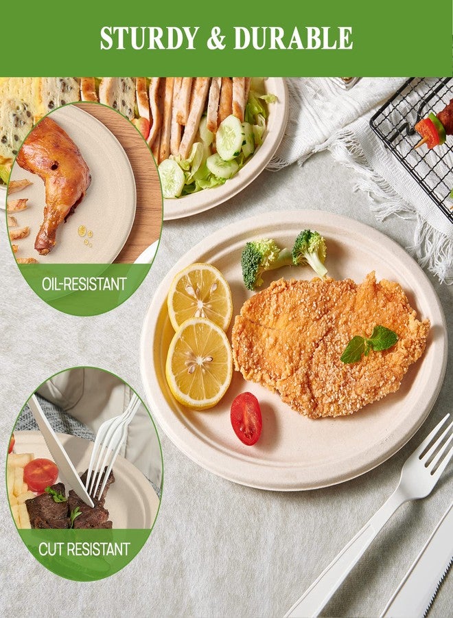 Vplus 100% Compostable Oval Paper Plates 12 inch 120 Pack Super Strong Disposable Dinner Plates Natural Biodegradable Eco-Friendly Sugarcane Plates for BBQ, Party, Gathering, and Picnic - Image 4