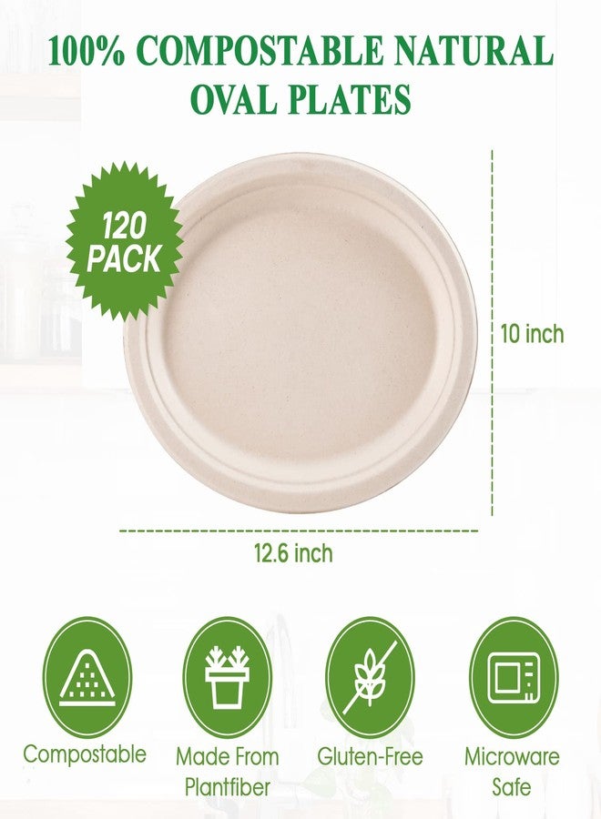 Vplus 100% Compostable Oval Paper Plates 12 inch 120 Pack Super Strong Disposable Dinner Plates Natural Biodegradable Eco-Friendly Sugarcane Plates for BBQ, Party, Gathering, and Picnic - Image 5