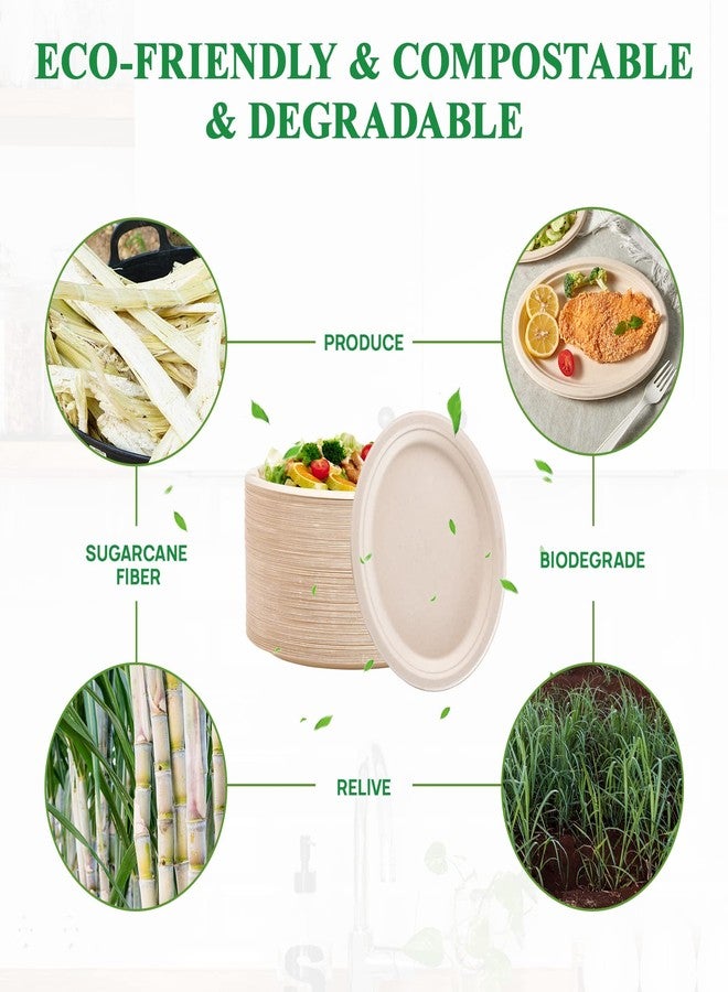 Vplus 100% Compostable Oval Paper Plates 12 inch 120 Pack Super Strong Disposable Dinner Plates Natural Biodegradable Eco-Friendly Sugarcane Plates for BBQ, Party, Gathering, and Picnic - Image 3