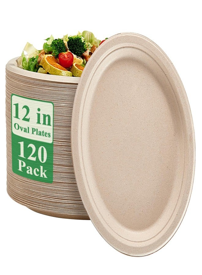 Vplus 100% Compostable Oval Paper Plates 12 inch 120 Pack Super Strong Disposable Dinner Plates Natural Biodegradable Eco-Friendly Sugarcane Plates for BBQ, Party, Gathering, and Picnic - Image 1