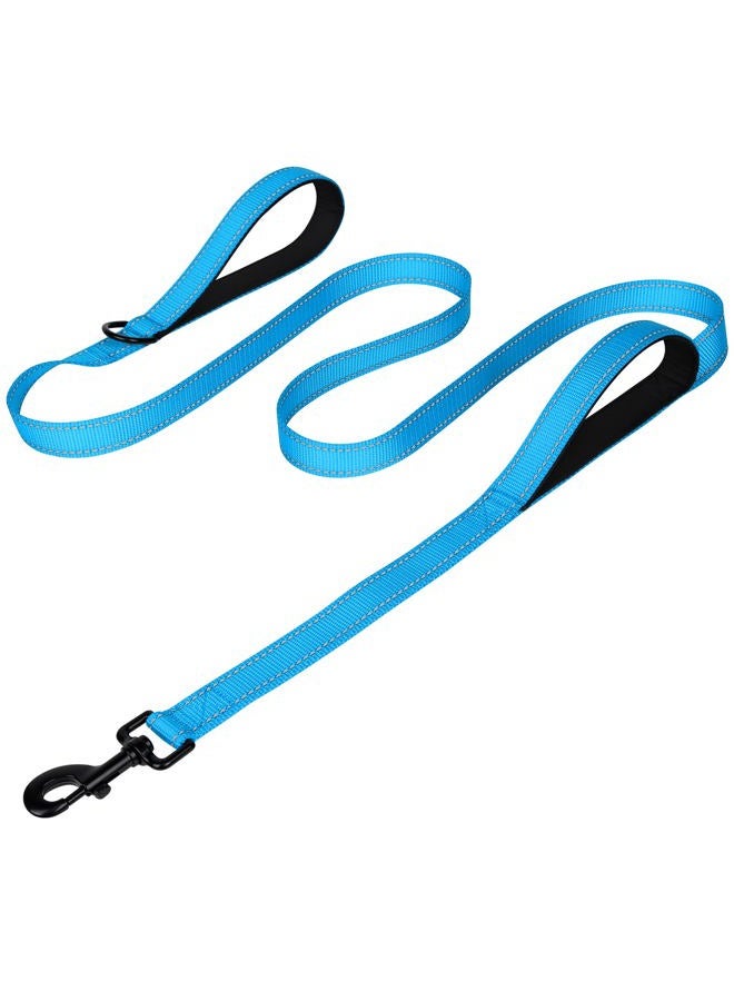 Joytale Dog Leash Heavy Duty for Large Dogs That Pull, Double Handle for Traffic Control, Double-Sided Reflective Leashes for Large Medium Dogs Night Safety, 5FT, Aqua Blue  - Image 1
