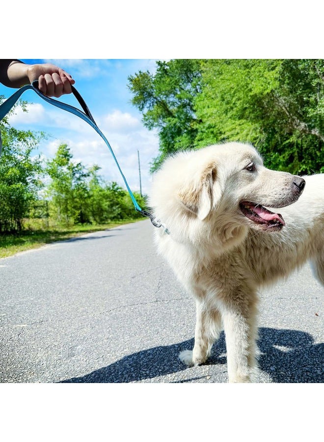 Joytale Dog Leash Heavy Duty for Large Dogs That Pull, Double Handle for Traffic Control, Double-Sided Reflective Leashes for Large Medium Dogs Night Safety, 5FT, Aqua Blue  - Image 4