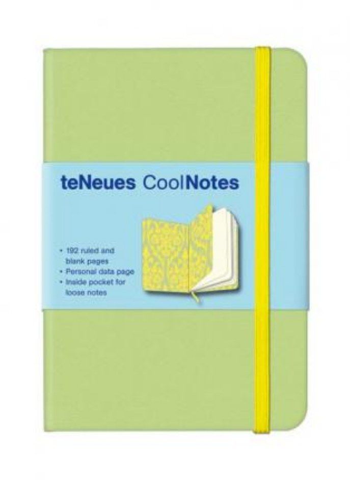 Cool Notes Light Green/Victoria Yellow 9 X 13 cm 