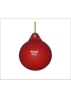 Ciwaa Silicone Hammer 350Gr HEV-350 