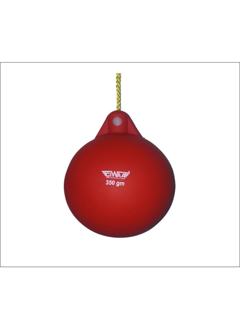 Ciwaa Silicone Hammer 350Gr HEV-350 