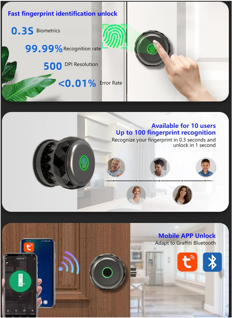 Indoor Wooden Door Ball Lock Smart Fingerprint Lock, Fingerprint/App/Key Unlocking, USB Interface