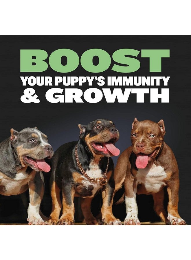 بولي ماكس طعام الجراء Bully Max 24/14 عالي البروتين وتركيبة النمو - طعام جاف للكلاب مع لحم الضأن والأرز للجراء من السلالات الصغيرة والكبيرة - طعام طبيعي، مطبوخ ببطء، مناسب للمعدة الحساسة - 10 أرطال (كيسان، 5 أرطال لكل كيس) - Image 3