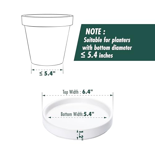 D'vine Dev Modern Round 5.4 Inch Ceramic Plant Pot Saucer, Planter Pot Drainage Tray for Indoor Plants, Matte White, 97-T-A-2 - Image 2