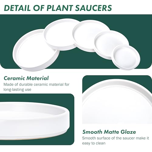 D'vine Dev Modern Round 5.4 Inch Ceramic Plant Pot Saucer, Planter Pot Drainage Tray for Indoor Plants, Matte White, 97-T-A-2 - Image 4