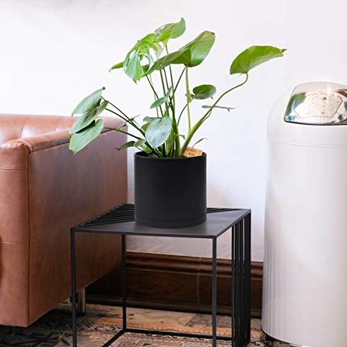 D'vine Dev 8 Inch Plastic Planter Pots for Plant Pot with Drainage Hole and Seamless Saucers, Black Color, 74-X-B-1 - Image 5