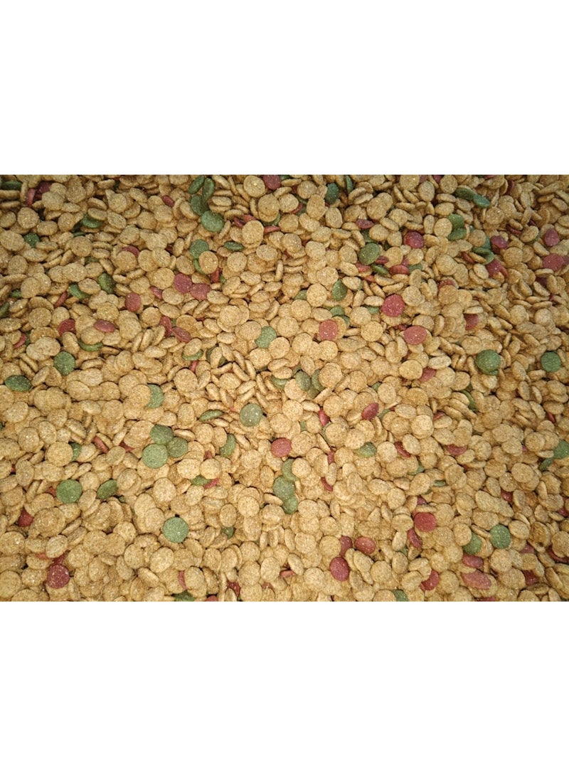 R Castax Mix Premium Cat Dry Food No Artificial Colors Rich in Vitamins and Minerals with 28% Protein Plus Omega 3 Vitamin B12 1kg - Image 2