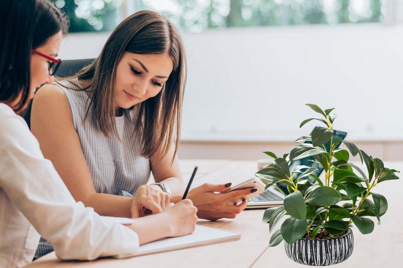 AlphaAcc Artificial Succulents Plants Decor Greenery Fake Succulents Indoor Potted Fake Plant with Rustic Black Clay Planter for Farmhouse Room Bathroom Bedroom Kitchen Office Dese Coffee Table Decor - Image 3