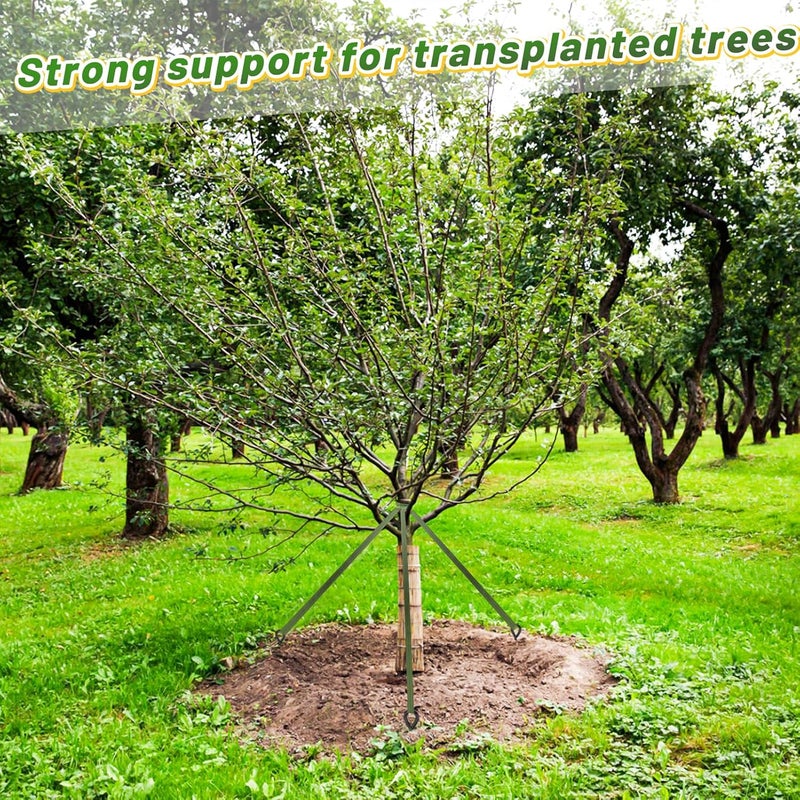 Biubee 2,425 Lbs Strength Tree Straps - 108FT Tree Tie Support Straps for Staking, Green Blend in with Landscaping for Guying Young Trees Straight and Storm Protection, for Outdoor Plants, 1" Wide - Image 5