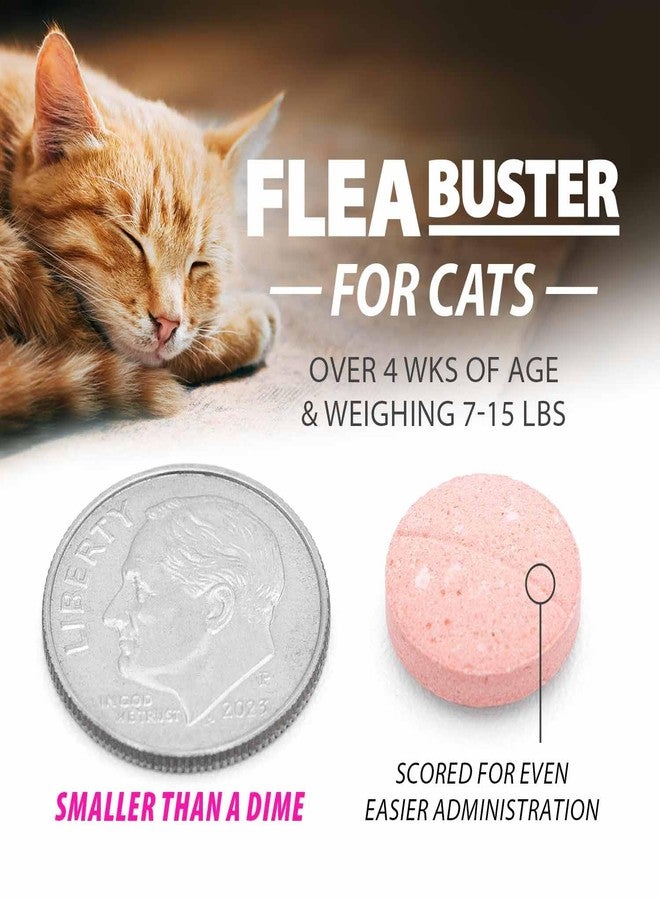 Jeffers Pet Flea Buster Chewable Tablets for Cats and Kittens 7-15 lbs, Tuna Flavor Supplements, Monthly Cat Flea Support, Made in USA, Easy to Feed Cat Tablets, Travel Friendly - 6 Count - Image 3