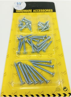 Silver Multisize Screws
