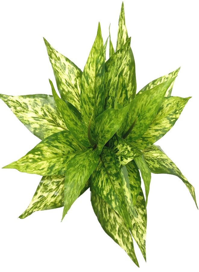 LOVENIMEN Artificial Magnolia Plants Decoration, Fake Agave Plastic Grass Faux Greenery Plant UV Resistant Shrubs for Indoor Outdoor Home Garden Porch Christmas Wedding Table Décor Yellow 2 Pack - Image 2