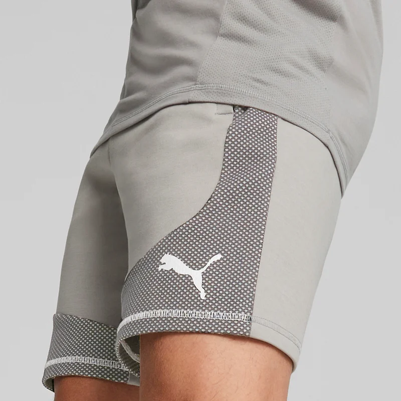 Puma  Evostripe Men's Shorts for Men | Best Price UAE