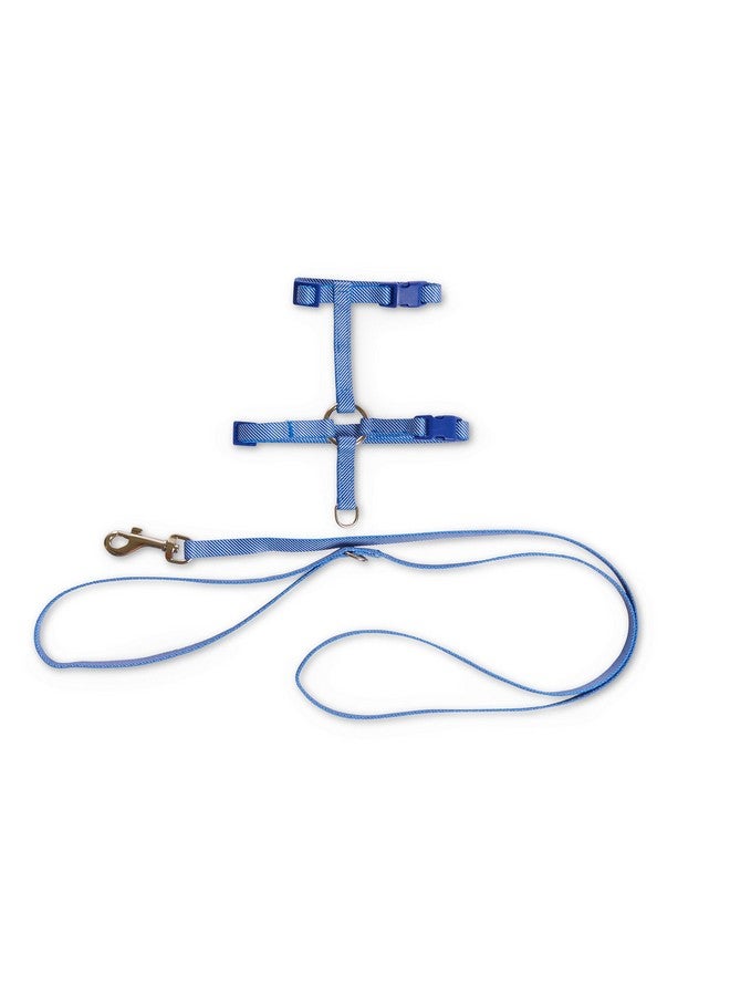 Bond & Co. Blue Seersucker for Style Kitten Harness & Leash Set - Image 1