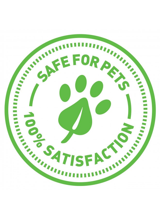 Petlinks Bliss Mist Catnip Spray, Safe for Pets - 7 Fluid Ounces - Image 4