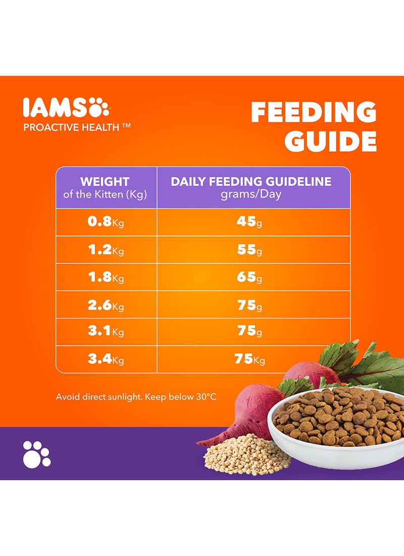 Iams Mother & Kitten - Image 3