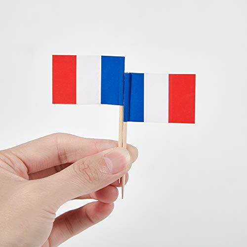 JAVD CYPS 100 Pcs France Flag French Toothpick Flags, Small Mini Stick Cupcake Toppers French Flags,Country Picks Party Decoration Celebration Cocktail Food Bar Cake Flags - Image 3