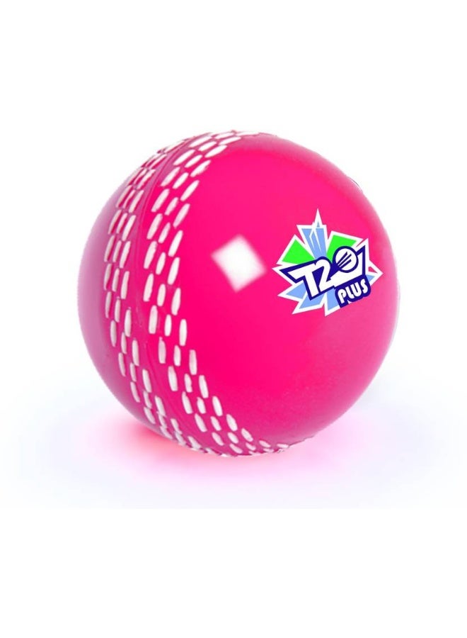 Jaspo Jaspo T-20 Plus Practice Cricket/Wind Ball for Indoor & Outdoor Street Cricket Synthetic Ball  (Standard, Pack of 1, Pink) - Image 1