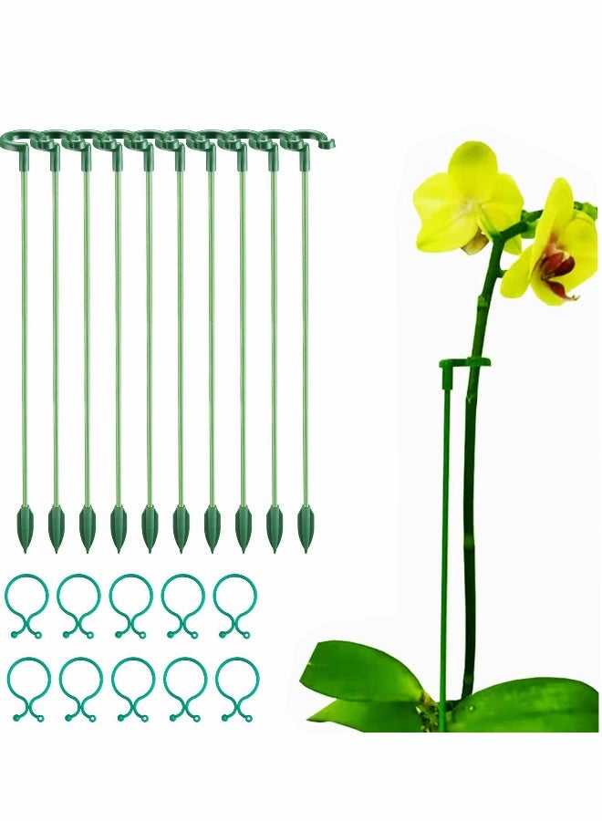 Generic Plant Stakes for Indoor Plants 10Pcs 15 Inch Support Stakes, Garden Single Stem Flower Amaryllis Cage Rings with 10 pcs Clips Tomato Orchid Lily Peony Rose  - Image 1
