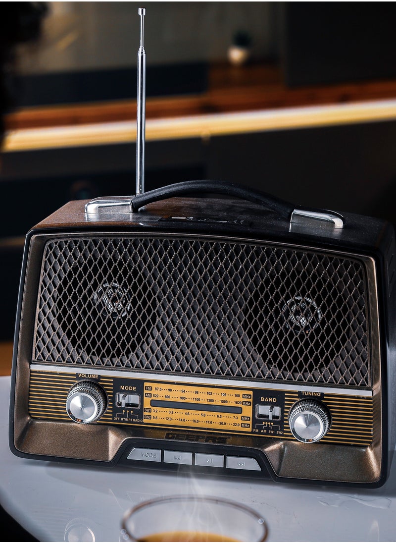 Rechargeable Radio with Bluetooth, AUX Input, BT/FM/MP3/USB/TF Card