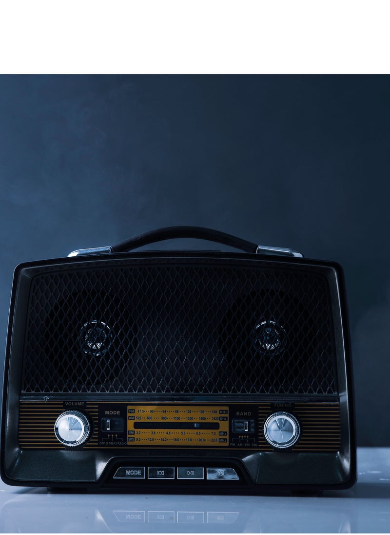Rechargeable Radio with Bluetooth, AUX Input, BT/FM/MP3/USB/TF Card
