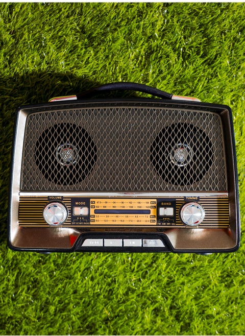 Rechargeable Radio with Bluetooth, AUX Input, BT/FM/MP3/USB/TF Card
