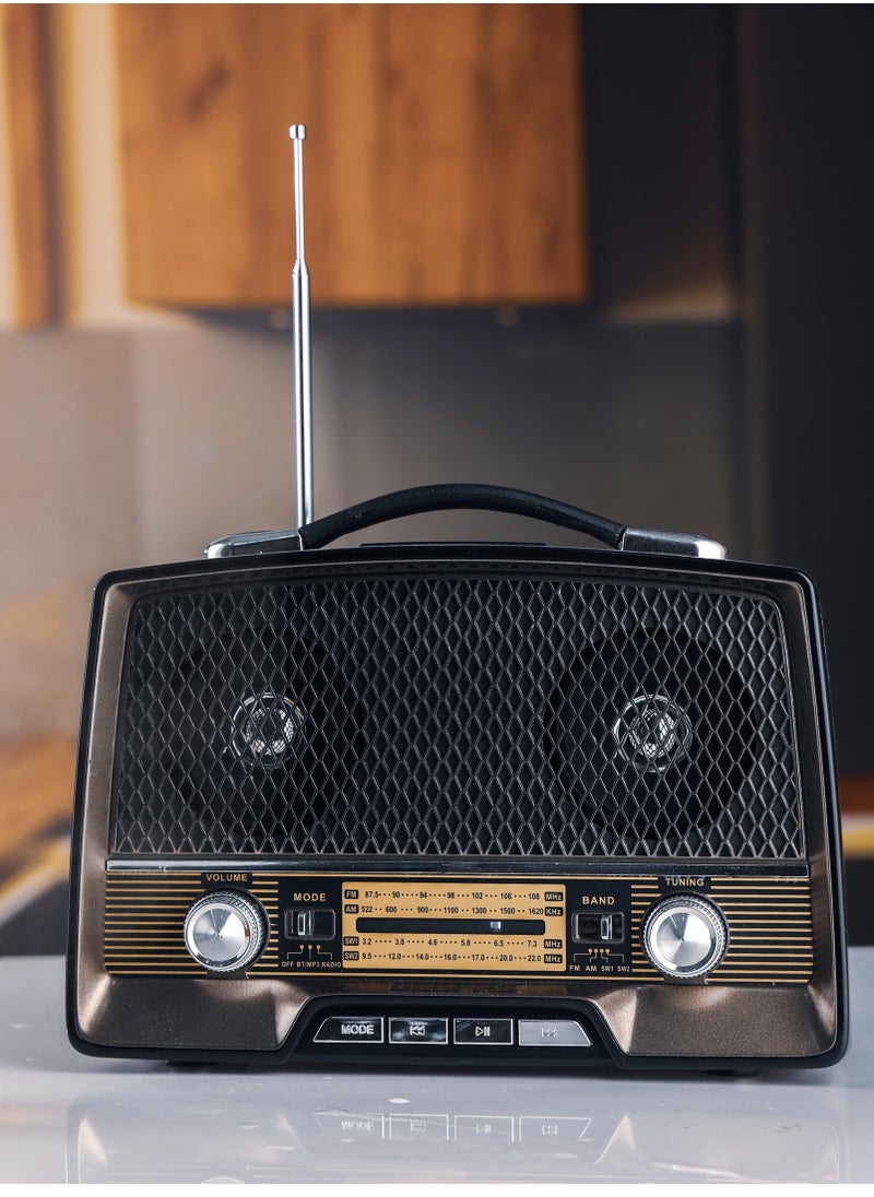 Rechargeable Radio with Bluetooth, AUX Input, BT/FM/MP3/USB/TF Card