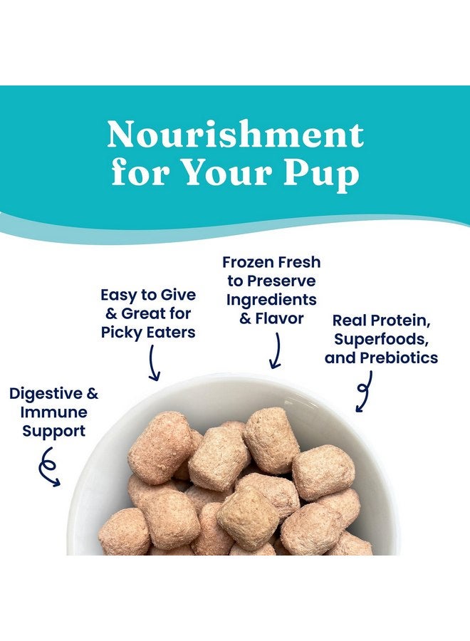 Solid Gold Freeze Dried Dog Food - Made with Real Beef, Pumpkin, and Superfoods - Freeze Dried Raw Dog Food to Serve as a Meal, Food Topper, or Dog Treat - 1.5 OZ - Image 3
