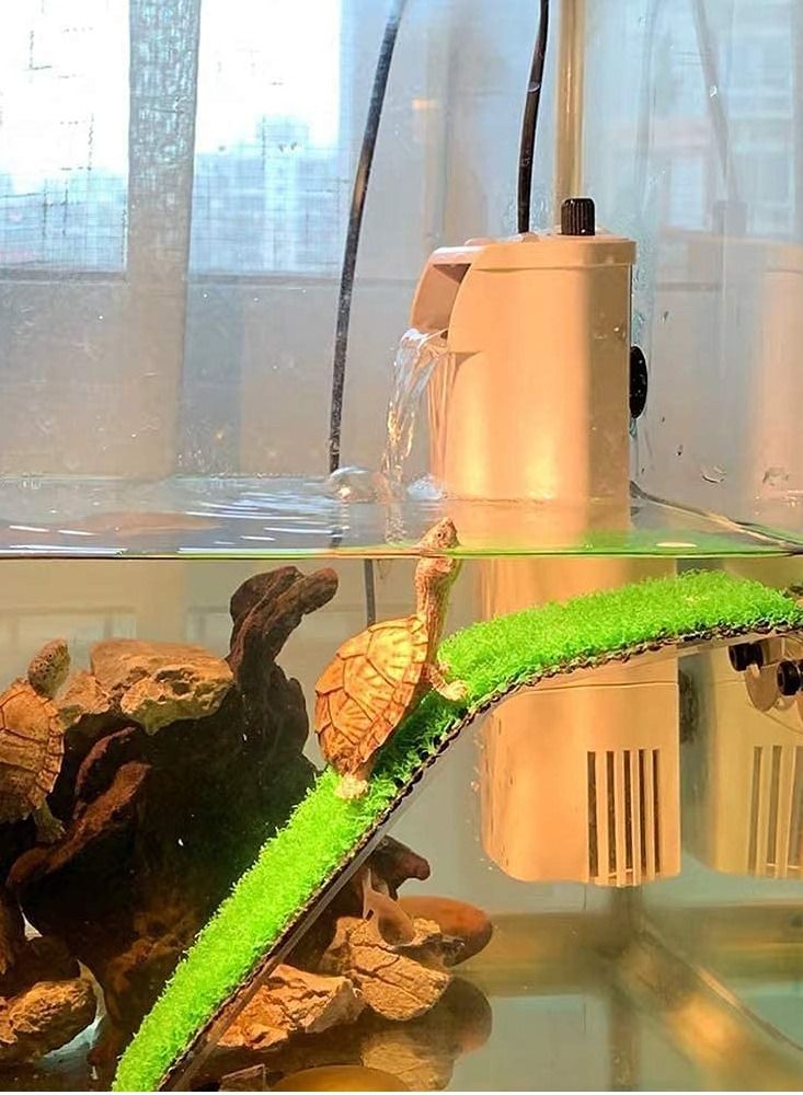 Dophin Slope Turtle Ladder For Tank Green - Image 4