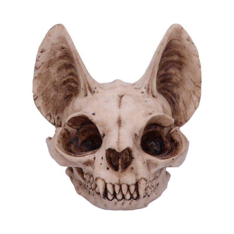 نيميسيس ناو العدو الآن Bastet's Secret Cat Skull Skull Ornament One Natural Bone Lolor Size One - Image 1