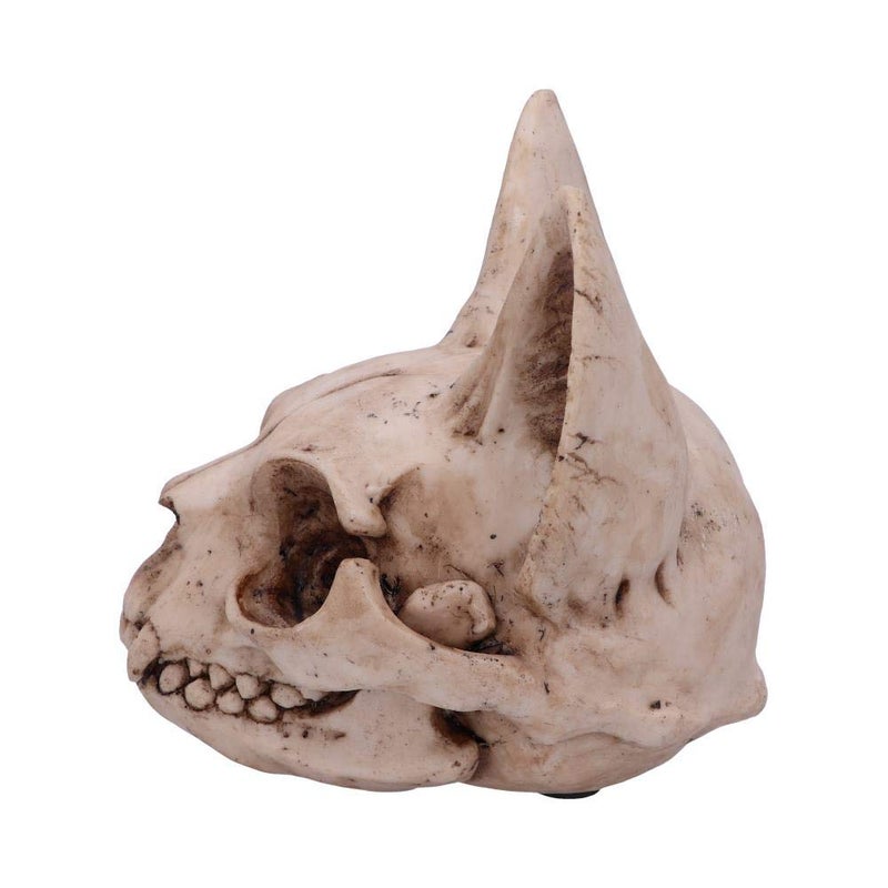 نيميسيس ناو العدو الآن Bastet's Secret Cat Skull Skull Ornament One Natural Bone Lolor Size One - Image 4