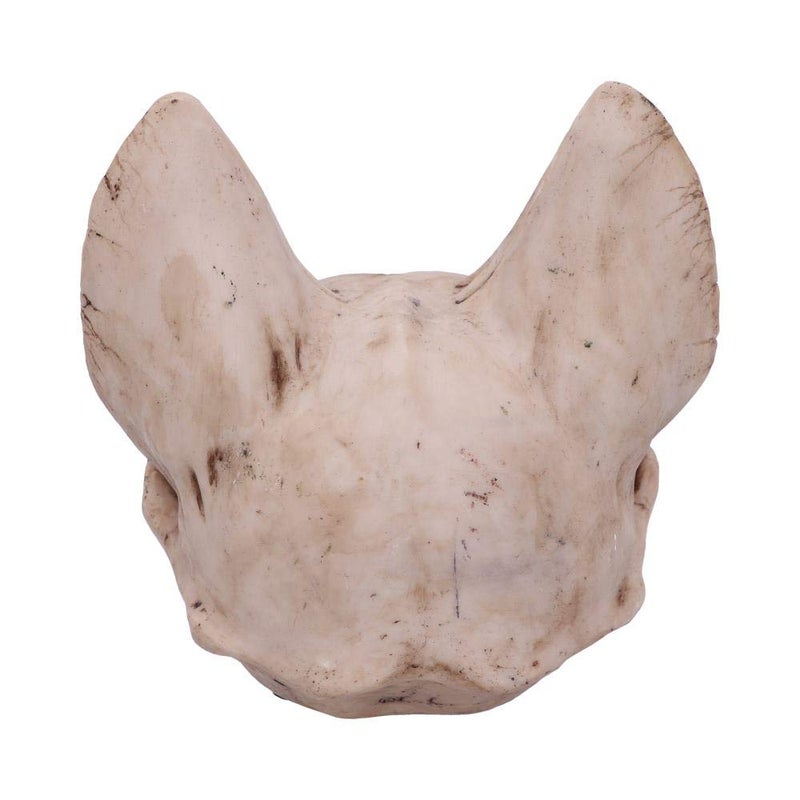 نيميسيس ناو العدو الآن Bastet's Secret Cat Skull Skull Ornament One Natural Bone Lolor Size One - Image 3