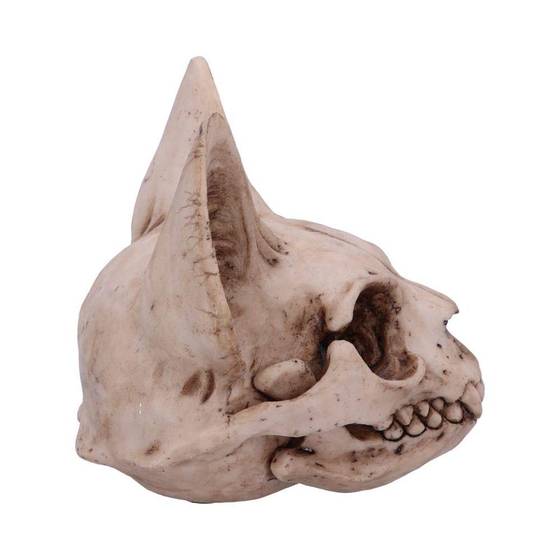 نيميسيس ناو العدو الآن Bastet's Secret Cat Skull Skull Ornament One Natural Bone Lolor Size One - Image 2