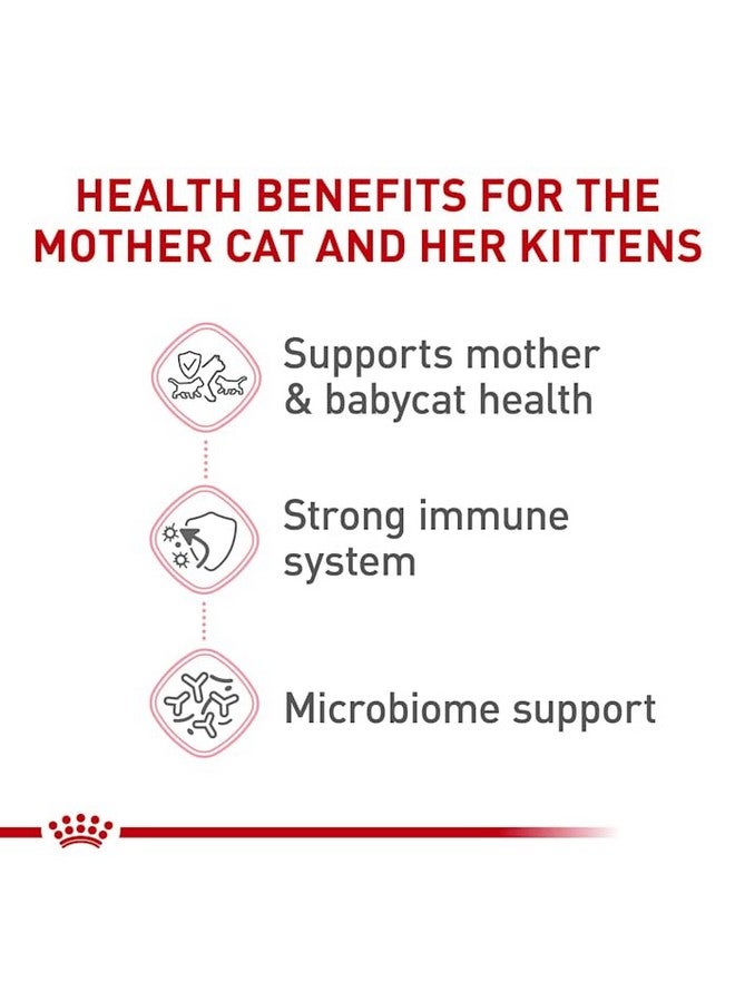رويال كانين طعام جاف للقطط من رويال كانين، مناسب للقطط حديثي الولادة والقطط الحامل أو المرضعة، وزن الكيس 6 أرطال - Image 5