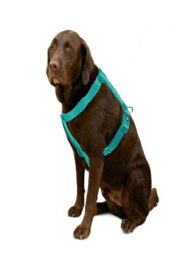 تريكسي حزام تريكسي المميز للكلاب على شكل حرف H، تصميم أنيق، شريط شبكي قابل للتعديل، تخفيف الضغط، أحزمة خفيفة الوزن وقابلة للتعديل (مقاس متوسط، لون أزرق محيطي) - Image 5