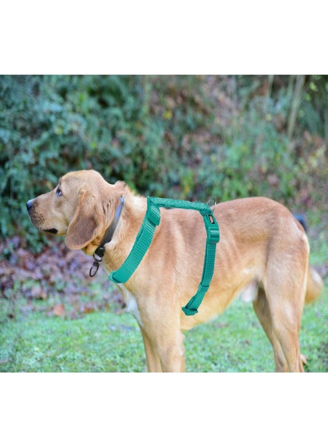 تريكسي حزام تريكسي المميز للكلاب على شكل حرف H، تصميم أنيق، شريط شبكي قابل للتعديل، تخفيف الضغط، أحزمة خفيفة الوزن وقابلة للتعديل (مقاس متوسط، لون أزرق محيطي) - Image 4