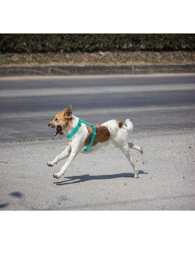 تريكسي حزام تريكسي المميز للكلاب على شكل حرف H، تصميم أنيق، شريط شبكي قابل للتعديل، تخفيف الضغط، أحزمة خفيفة الوزن وقابلة للتعديل (مقاس متوسط، لون أزرق محيطي) - Image 3