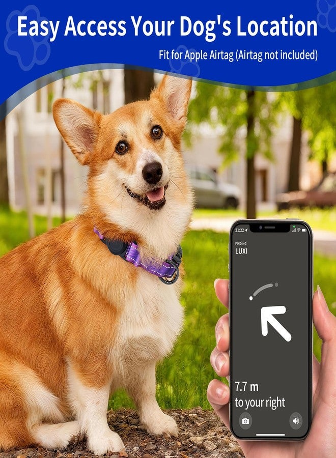 kazazoo طوق كلاب AirTag، حامل طوق كلاب مقاوم للماء بمعيار IP68، عاكس للضوء، متين للغاية، مبطن ومريح، طوق كلاب شديد التحمل للكلاب الصغيرة والمتوسطة والكبيرة - بنفسجي - مقاس كبير - Image 5