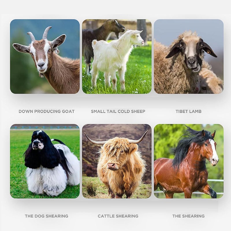 Mumusuki Electric Sheep Shear, High Carbon Steel 13 Tooth Curved for Sparse Wool, with Advanced Heat Treatment and Coating, Compatible with Sheep Alpacas Llamas Shearing Machines - Image 2