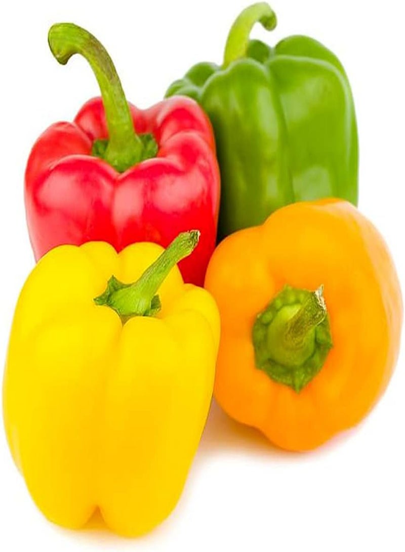 جي جوت 50 قطعة من بذور الفلفل الحلو المختلطة الملونة، خضروات الفلفل الحار الطازجة للزراعة في الحديقة الخارجية، أصناف حصاد الخريف المحبوبة من قبل الناس - Image 2