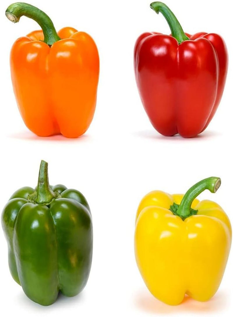 جي جوت 50 قطعة من بذور الفلفل الحلو المختلطة الملونة، خضروات الفلفل الحار الطازجة للزراعة في الحديقة الخارجية، أصناف حصاد الخريف المحبوبة من قبل الناس - Image 3