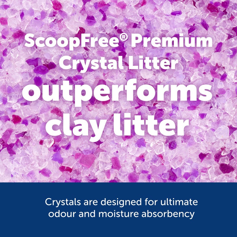 PetSafe ScoopFree Premium Crystal Cat Litter - Outperforms Clay Litter - Refill Packs - Reusable Tray Compatible - Lavender Scent - 4.3 lb Bags - 2 Pack - Image 2