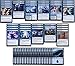 MTG Decks & More Blue Flying Creature Deck Powerful Modern Legal Custom Built MTG 60 Card - Image 2